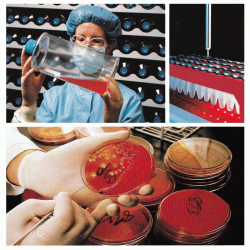 White Hills : Mitosis